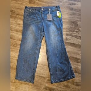 Democracy Ab Solutions Denim Jeans Plus Size 24W